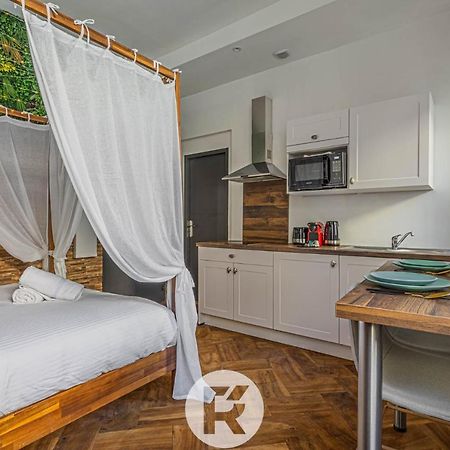 R'Apparts Studio Cocooning Vegetal غرونوبل المظهر الخارجي الصورة